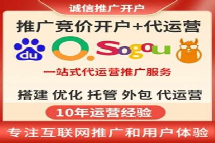 专业SEM代运营公司案例分析